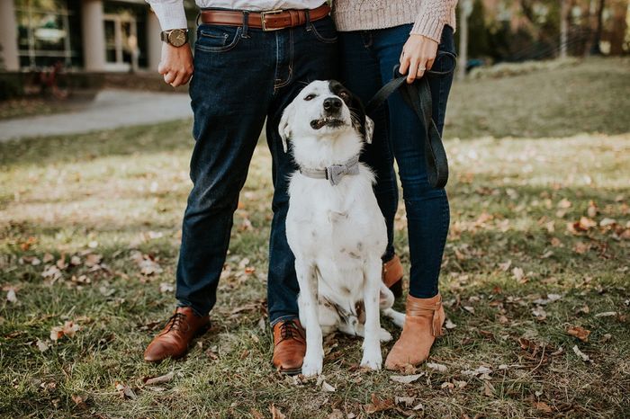 Wish i could have my dog in some of my wedding photos - 1