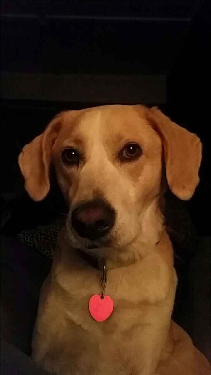 NWR: We became a family of 5 last night!