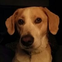 NWR: We became a family of 5 last night!