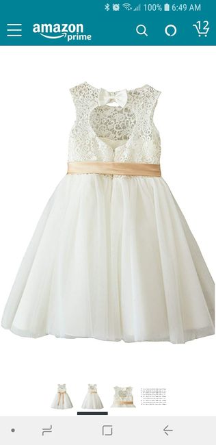 Flower girls dress - 2