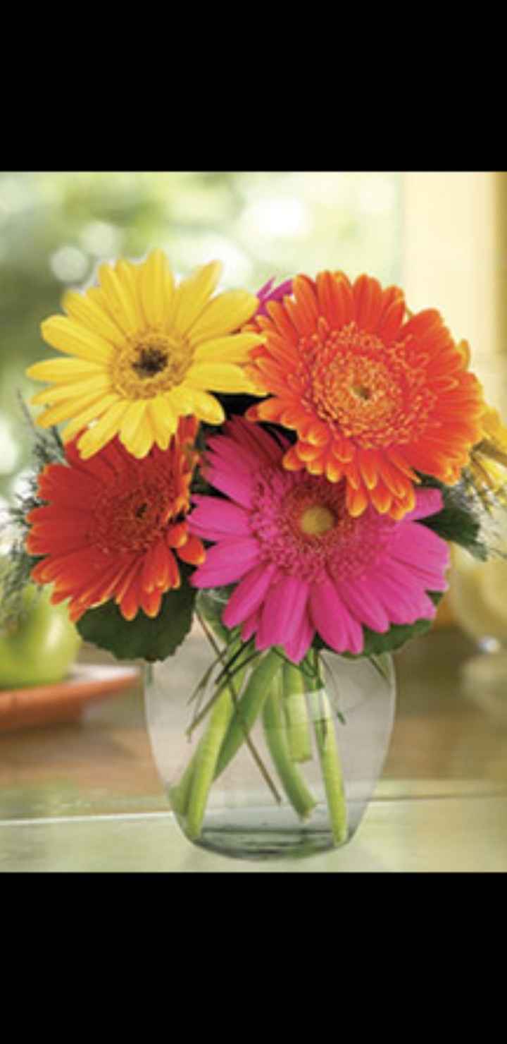 Gerbera Daisies - 1
