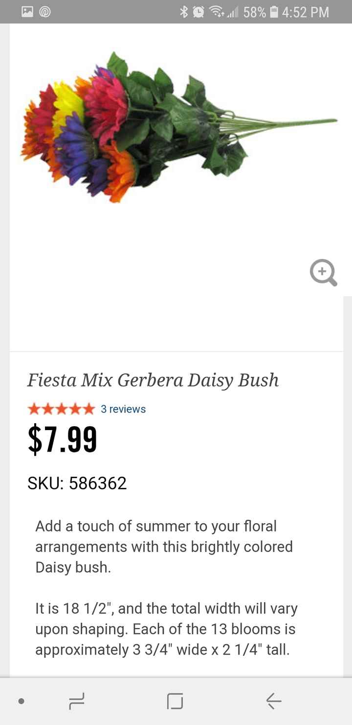 Gerbera daisy bundles - 1