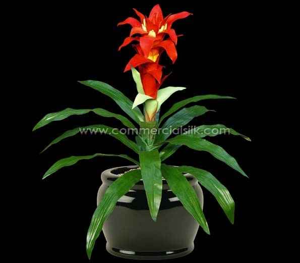 Found a great website for silk flowers!