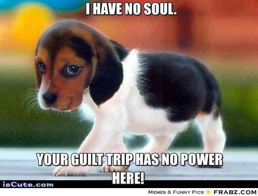 New Years Eve wedding hashtag