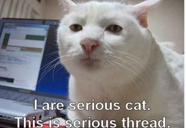 Whoops....just accidentally invited someone