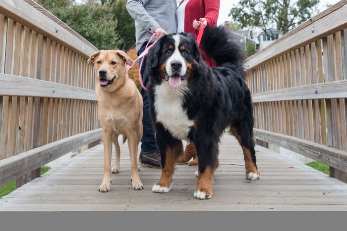 Engagement pictures! 5