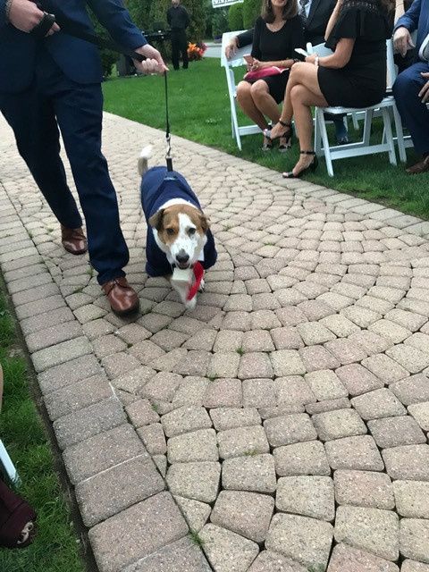 Our little ring bearer!