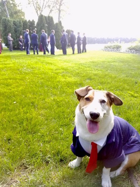 Another shot of our dog 