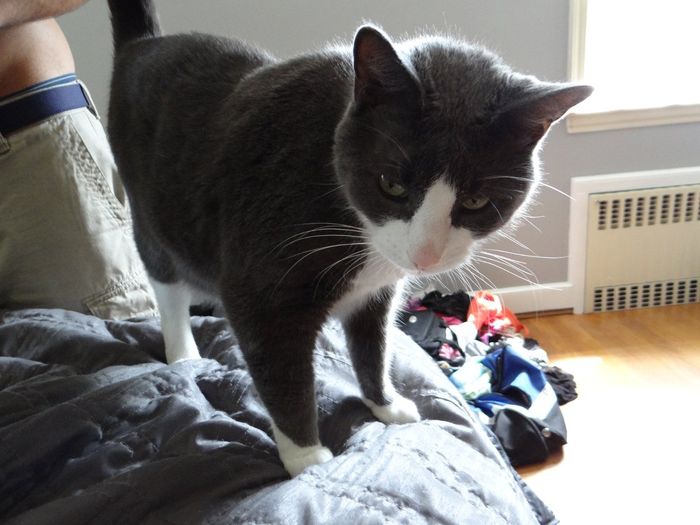 NWR: We Got a Kitten!