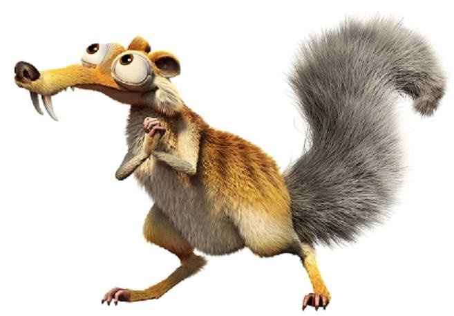 Show me the Squirrels!