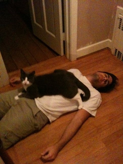 Fur babies :)