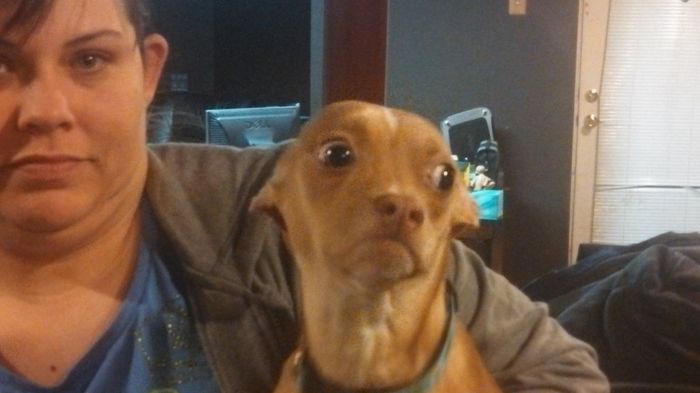 NWR: New puppy pics!!!
