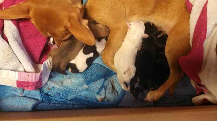 NWR lookie at the cuteness that the stork brought to my house