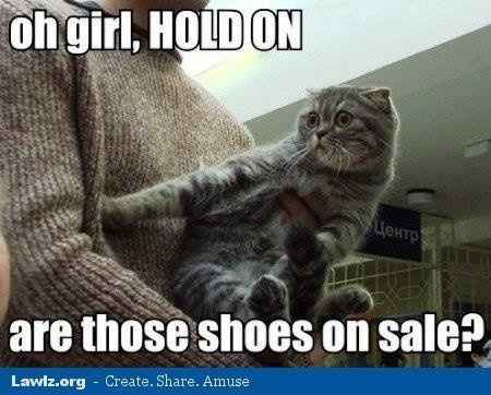 nwr for the shoe and cat lovers out there