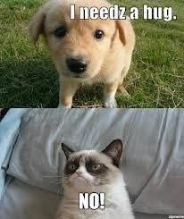 What a week! Who needs a hug?