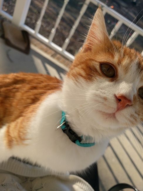 NWR: Puppies and fur babies!
