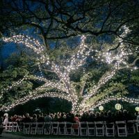 Where are you getting married? Post a picture of your venue! - 1