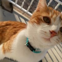 NWR: Puppies and fur babies!