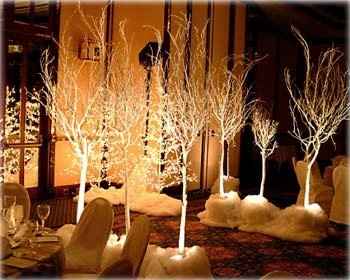 Reception Decoration Ideas...