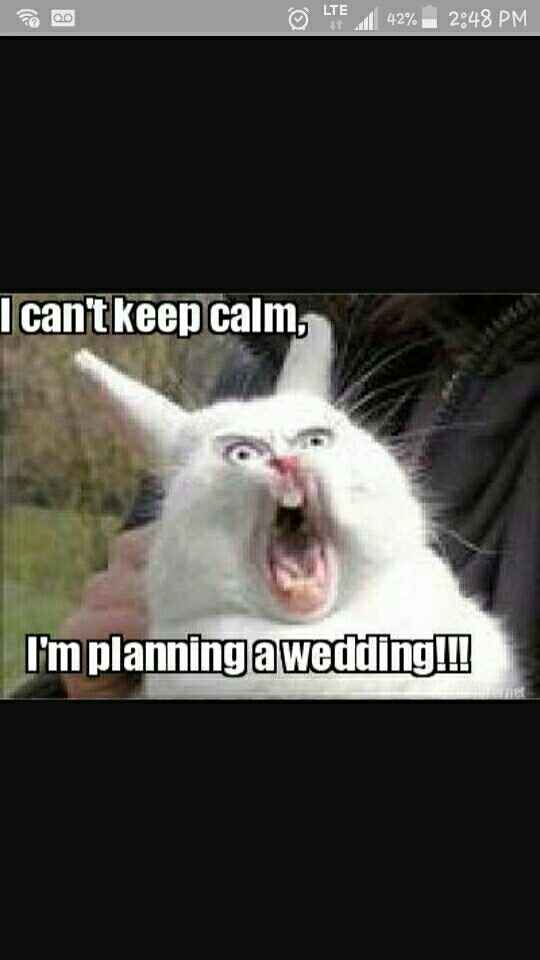 1 2 3 4 - I Declare a Meme War