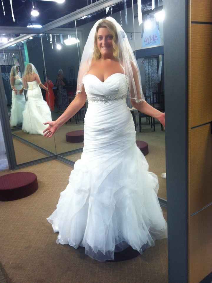 Got my dress today!!! Your thoughts!!