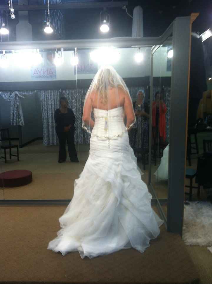 Got my dress today!!! Your thoughts!!