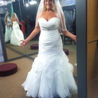 Got my dress today!!! Your thoughts!!