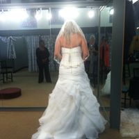 Got my dress today!!! Your thoughts!!