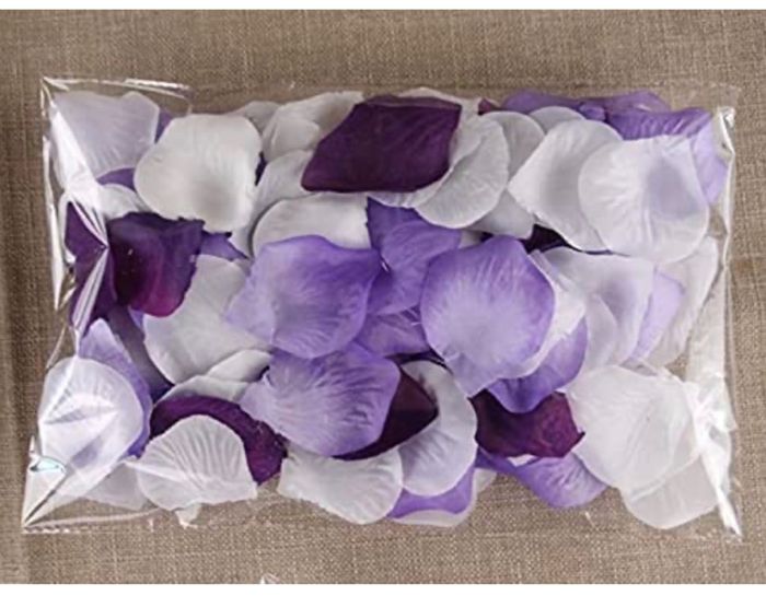 Flower Girl and Ring Bearer 2