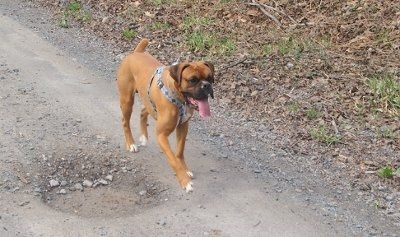 NWR: Lets see our pets!!