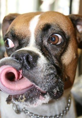 It's funny photo time!