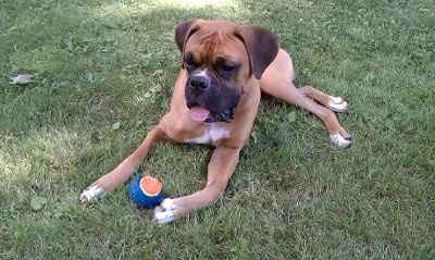 NWR: Lets see our pets!!