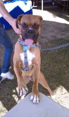 *NWR* Show me your pets/animals! *PICS*