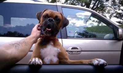 *NWR* Show me your pets/animals! *PICS*