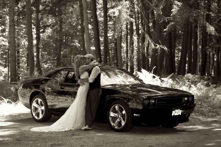 Pro pics are here!!!