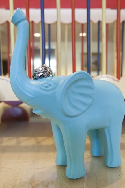 Pro pics are here!!!