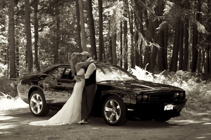 Pro pics are here!!!