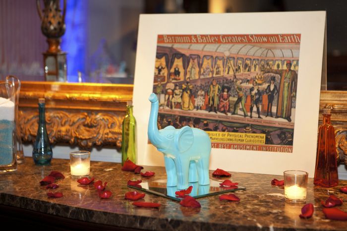 Pro pics are here!!!