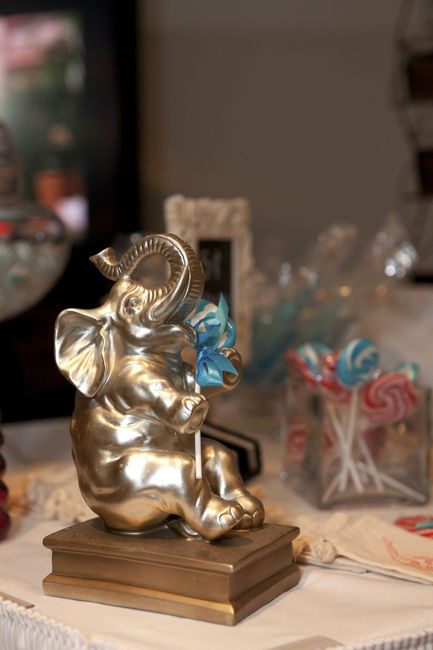 Pro pics are here!!!