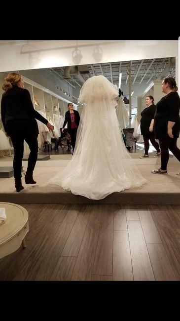 Cathedral veil - 1