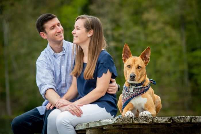 Wish i could have my dog in some of my wedding photos - 1