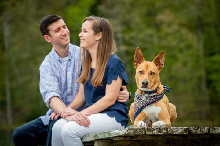 Wish i could have my dog in some of my wedding photos - 1