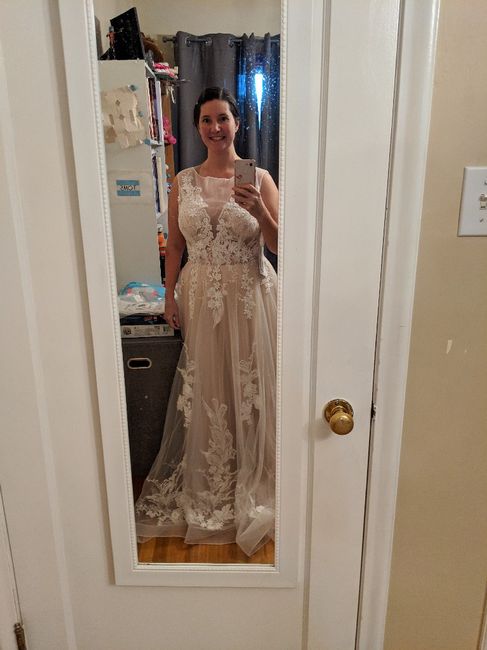 Azazie gown delivered today! - 1