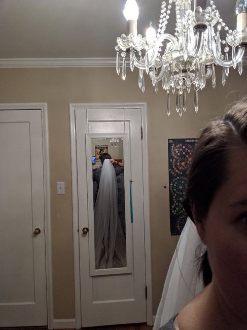 Wedding Veil  help 1