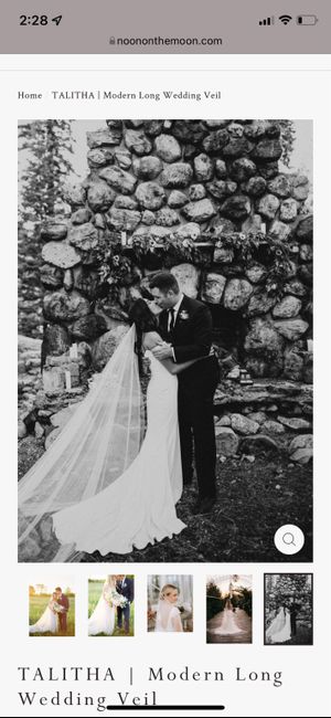 Veil vs Cape Help!! 2