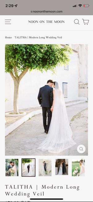 Veil vs Cape Help!! 3