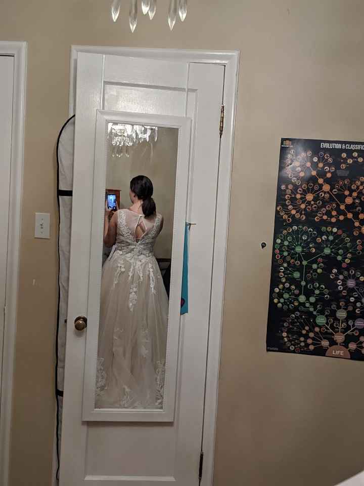 Help me accessorize. - 2