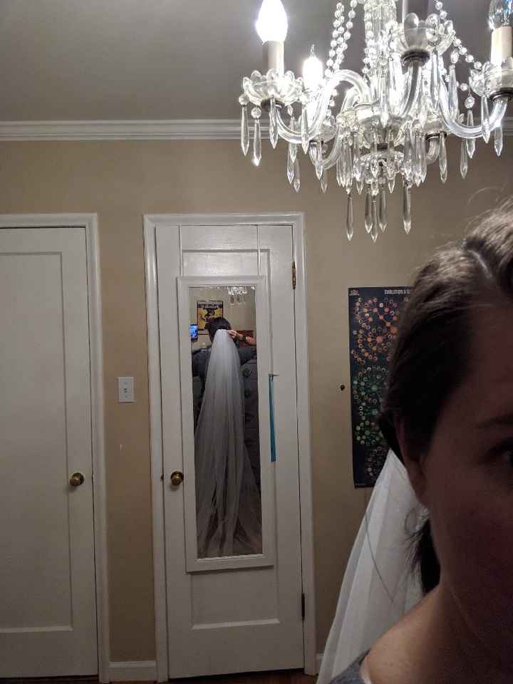 Wedding Veil  help - 1