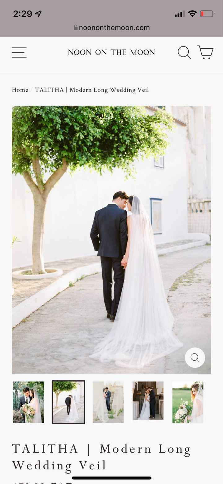 Veil vs Cape Help!! - 3