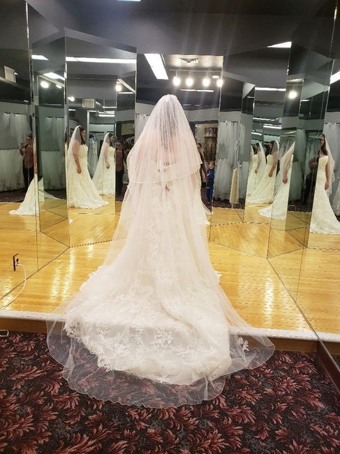 Let's See Your Dresses! 8